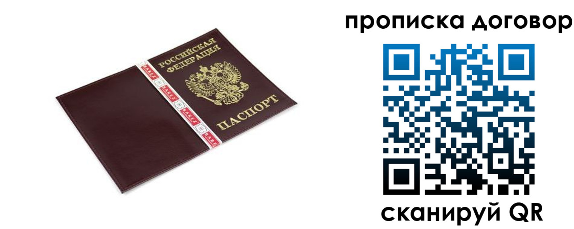 прописка в Вологде